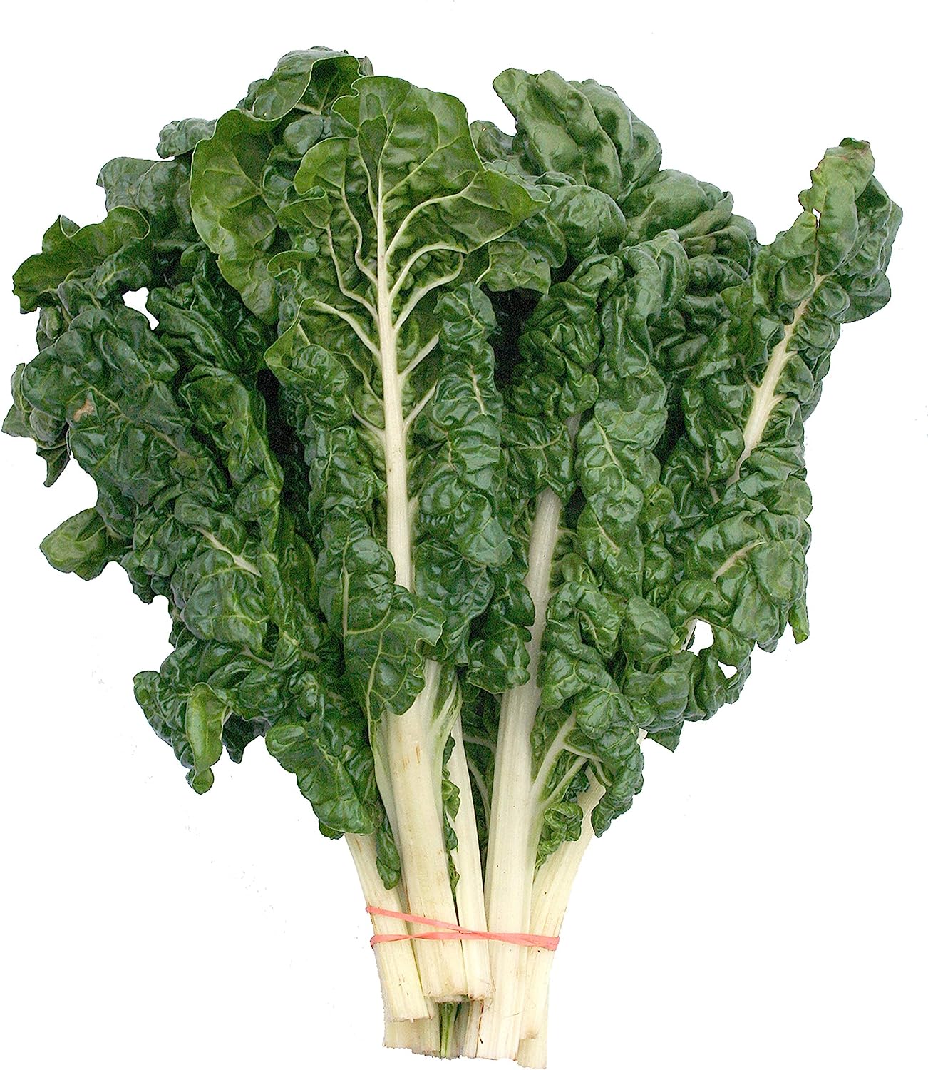 Fordhook swiss chard