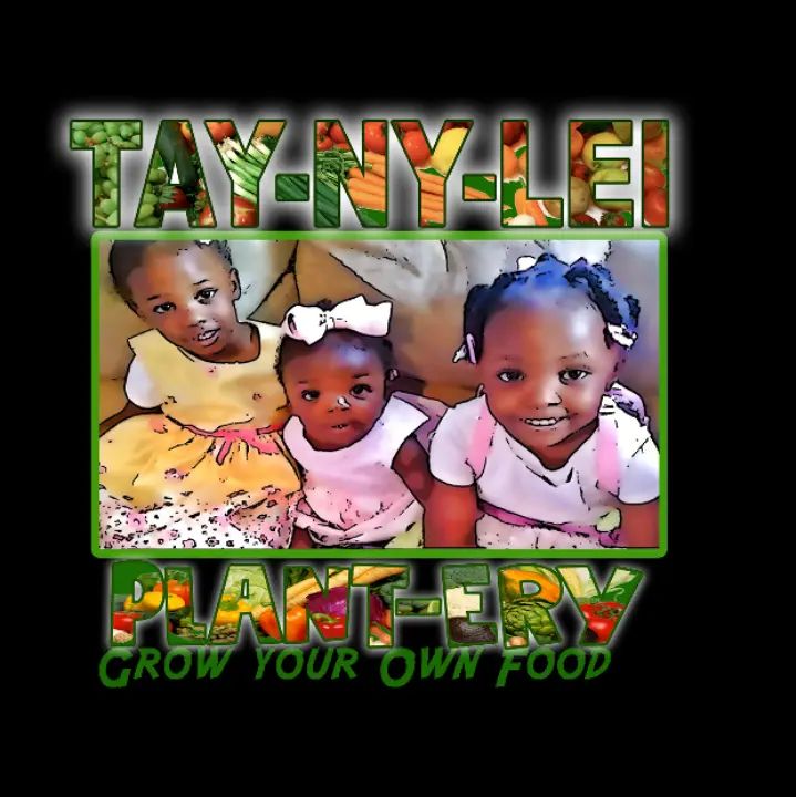 Taynylei Plantery