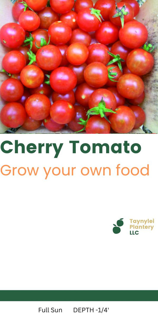 Cherry Tomatoes