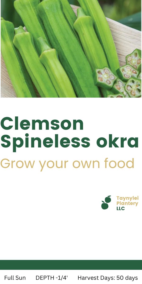 Clemson Spineless Okra