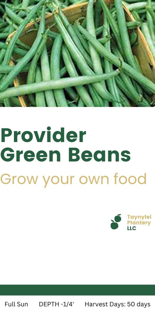 Provider Green Beans