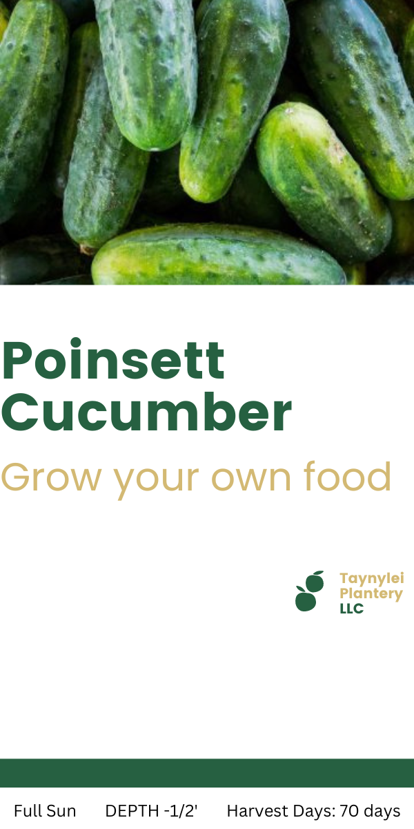 Poinsett Cucumber